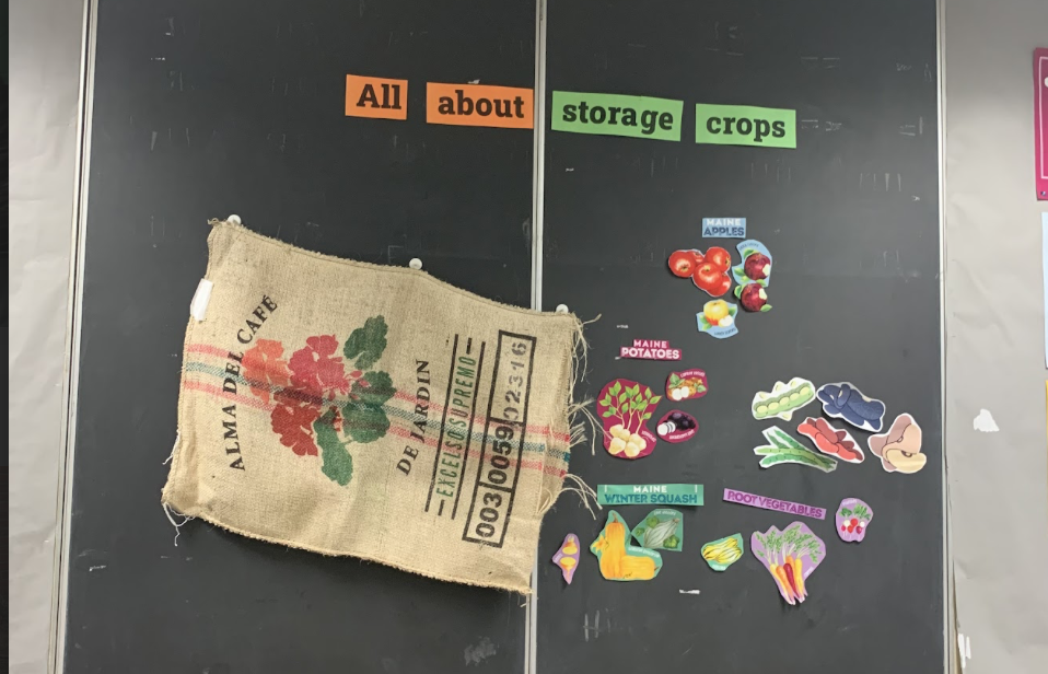 "Our storage crops" wall display